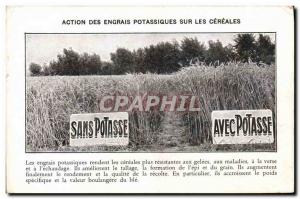 Old Postcard Advertisement Action potassium fertilizers on cereals