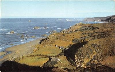 BROOKINGS Oregon Coast Azalea State Park 76 Union Oil c1950s Vintage Postcard