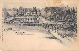 Saalburg Germany Waldlust Station Gruss Aus Vintage Postcard AA11962