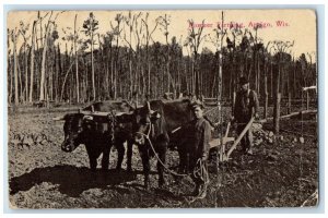 1920 Pioneer Farming Cow Cultivating Antigo Wisconsin Vintage Antique Postcard