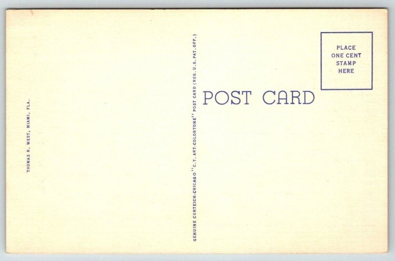 Vintage Florida Postcard - Bathing and Sunshine   Miami Beach