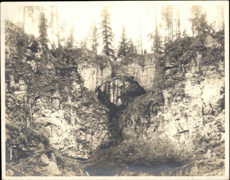 Yellowstone National Park Natural Bridge Haynes Photo Non-Postcard 23447