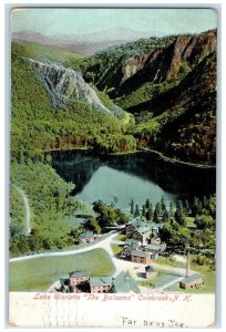 1906 Lake Gloriette The Balsams Colebrook New Hampshire NH Posted Tree Postcard