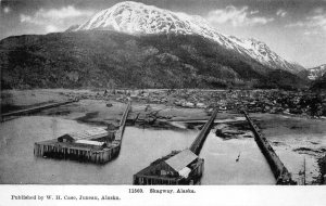 SKAGWAY ALASKA SHIP HARBOR MT. DEWEY W.H. CASE POSTCARD (c. 1910)