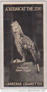 Carreras Cigarette Card Kodak At Zoo 1st Series No 50 Crowned Hawk Eagle