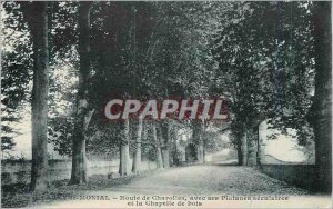 Old Postcard Paray Monial Charolles road with its centuries-old plane trees a...