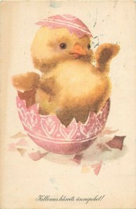 Hungary 1965 cute drawn Easter chicken greetings fantasy postcard