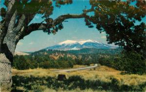 Crocker Flagstaff Arizona 1955 Route 66 Postcard 5544 Scenic Highway 5544