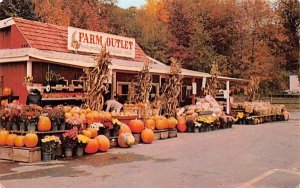 The Farm Outlet in Sloatsburg, New York
