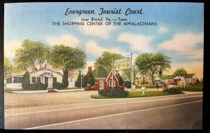 Vintage Postcard 1930-1945 Evergreen Tourist Court, Bristol, Tennessee (TN)