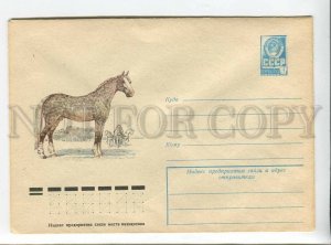 3178967 USSR horse Orlov trotter breed POSTAL COVER
