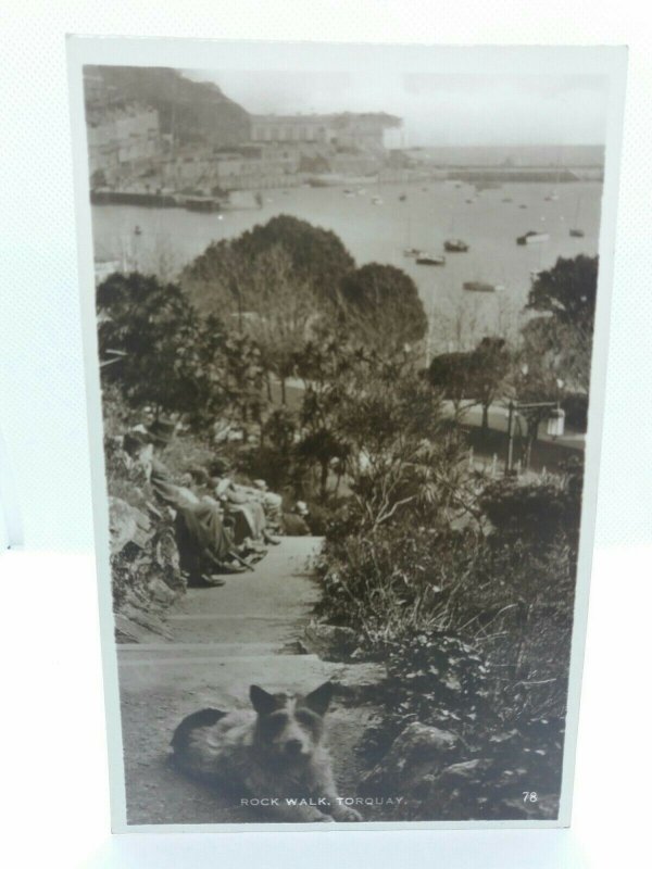 Vtg RP  Postcard Jack Russell Type Dog Stopping for a Rest at Rock Walk Torquay