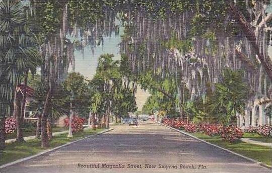 Florida New Smynra Beautiful Magnolia Street Curteich