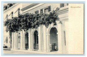 c1905s Bouganvillier Caribbean Islands Bermuda Antique Unposted Postcard