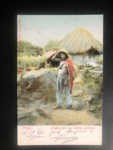 Mint Mexico Picture Postcard PPC Tierra Caliente Worker