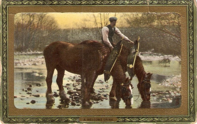 A welcome drink. Horses Tuck Farm Life Series PC # 721