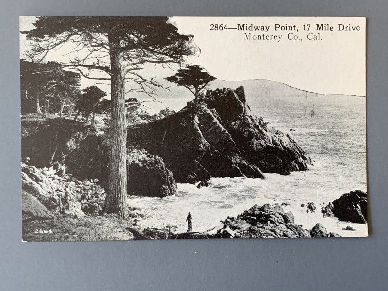 Lone Cypress 17 Mile Drive Monterey Co.  CA RPPC Postcard A1140090932