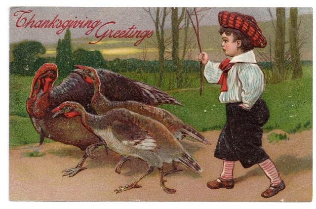 1908 Edwardian Boy Herding Turkeys Embossed Vintage PFB Thanksgiving Postcard