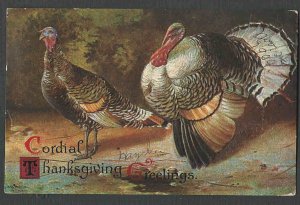 DATED 1909 PPC* VINTAGE THANKSGIVING DAY 2 TURKEYS EMBOSSED POSTED