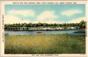 Sealy Springs, Alabama -Sealy's Hot Salt Mineral Well - Hot & Cold Swimm...