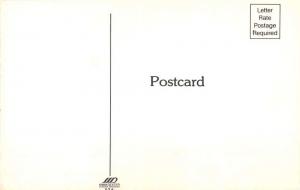 Crisfield Maryland Pines Motel Multiview Vintage Postcard K53330