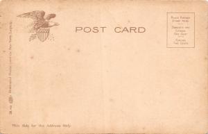 CATSKILL MOUNTAINS NEW YORK~LOWER KAATERSKILL FALLS POSTCARD 1900s