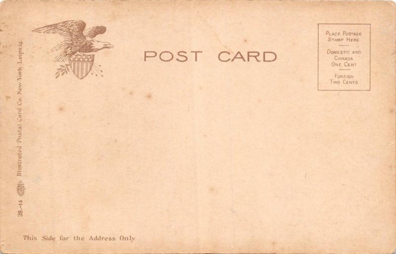 CATSKILL MOUNTAINS NEW YORK~LOWER KAATERSKILL FALLS POSTCARD 1900s