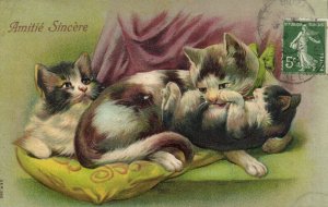 PC CATS, AMITIÉ SINCÉRE, Vintage EMBOSSED Postcard (b47044)