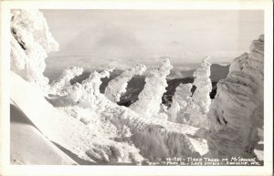 RPPC Snowy, Tired Trees of Mt. Spokane WA Vintage Postcard U27