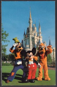 Mickey Mouse and Pals,Walt Disney World