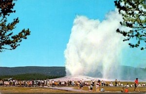 Yellowstone National Park Old Faithful Geyser