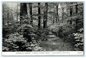 c1940 Warren's Wood Virgin Timber Tract Sawyer Michigan Vintage Antique Postcard