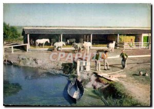 Postcard Modern evec the Camargue herdsmen herdsmen and Folklore Horses