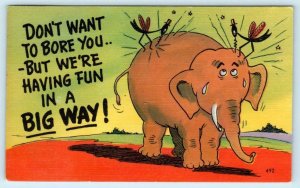 Comic ELEPHANT Attacked by MOSQUITOS Don't Want to Bore You 1956 Postcard