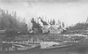 Postcard 1914 California Pino Grande El Dorado Logging Lumber Sawmill 23-12616