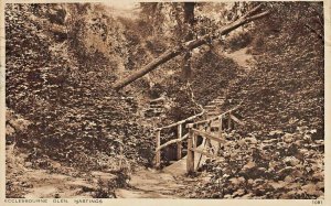 HASTINGS SUSSEX ENGLAND~ECCLESBOURNE GLEN~1935 PHOTO POSTCARD