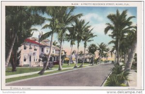 Florida Miami Scene Along A Residence Street Curteich