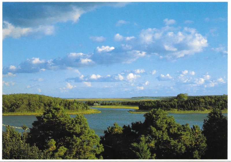 US Massachusetts. Salt Pond, Cape Cod. Mint Card.