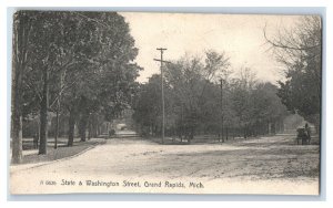 C. 1900-07 State & Washington Street Grand Rapids Michigan Vintage Postcard P217