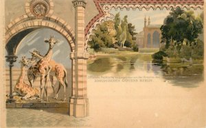 Postcard C-1910 Berlin Zoo Germany giraffe Gruss Aus undivided 22-121285