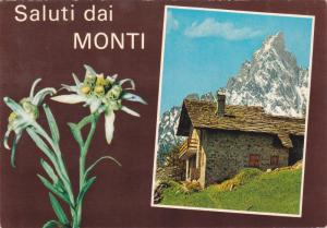 Italy Postcard Milano to Pescara 1973 Saluti dai Monti C 9853/53.