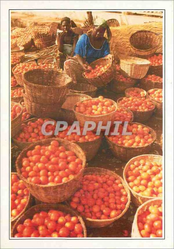 Modern Postcard Burkina Faso Bobo Dioulasso the market