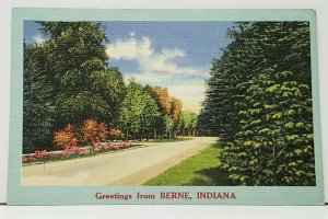 Indiana Greetings from Berne Indiana Scenic View Postcard I11
