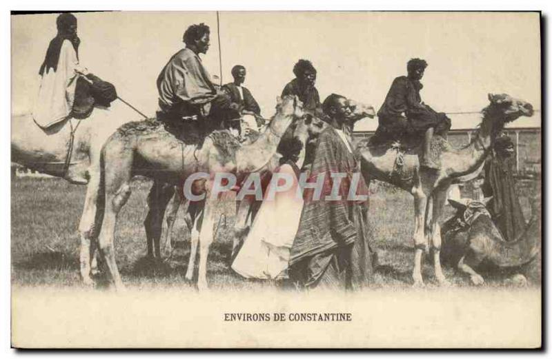 VINTAGE POSTCARD Algerie Surroundings of Constantine Chameaux 