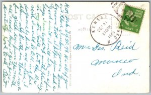 Vtg North Dakota ND Canadian Honkers Geese RPPC 1940s Cook Postcard
