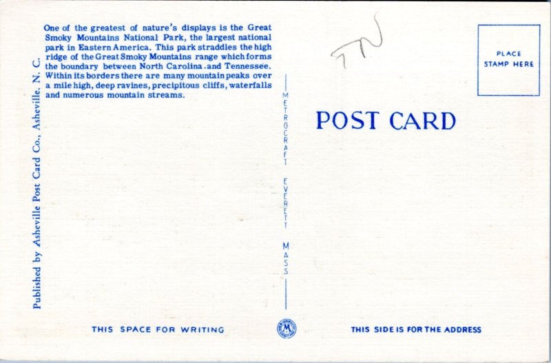 Postcard TN Great Smoky Mountain Natl Pk - Parking Newfound Gap Highway