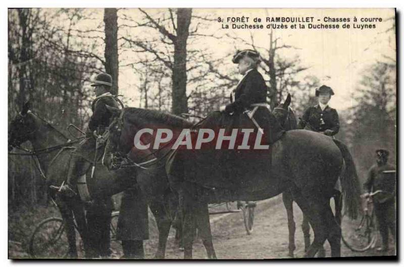 Old Postcard Hunting hounds has Foret de Rambouillet hunts hounds has the Duc...