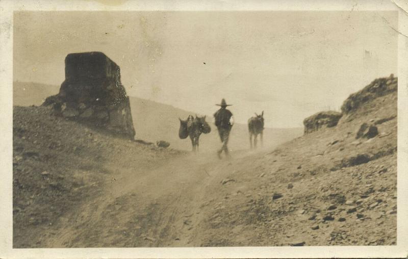 mexico, Native Man on the Road with Donkeys (1930) RPPC Postcard 