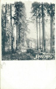 Czech Republic Waldquelle Marienbad Mariánské Lázně Vintage Postcard 07.12