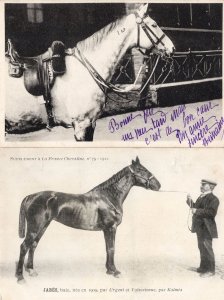 Jabes La France Chevaline 1909 Race Horse Antique PB Postcard